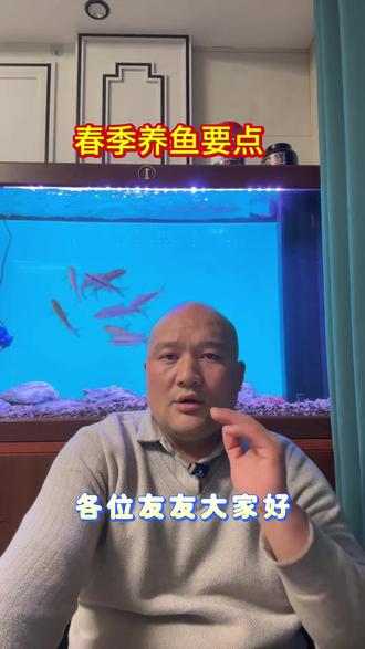 春季养鱼要点及注意事项点赞关注+收藏#养鱼经验分享 #养鱼日记 #养鱼养心 #轻松养鱼 #养鱼人