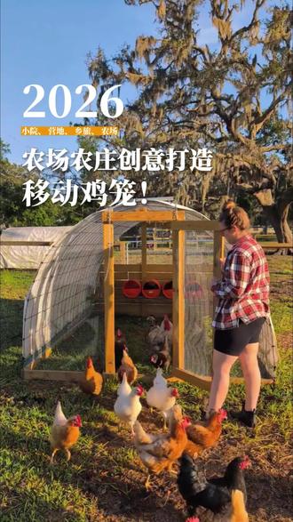 废木头造智能鸡笼!几十万人围观,农场养鸡超省心,鸡笼跑道化设计!低成本好管理,农场告别脏乱差#景合文旅 #农庄策划 #移动鸡笼 #规划设计 #空间美学