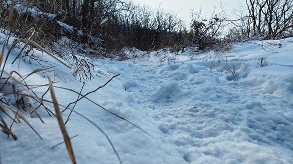 2026年1月1日,新年的第一天的第一次徒步,雪后登顶峻极峰 #嵩山峻极峰 #嵩山雪景 #徒步 #户外 #交换世界计划