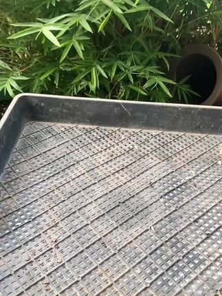 兰花铺面石护茎土兰花土多肉绿植花卉盆景专用高档盖面土 #兰花铺面 #多肉用土 #护茎石 #盆景铺面 #高档盖面土