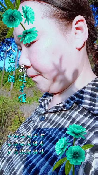 #支付宝借呗协商还本金的流程