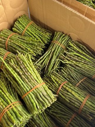 又到吃石斛鲜条的季节啦