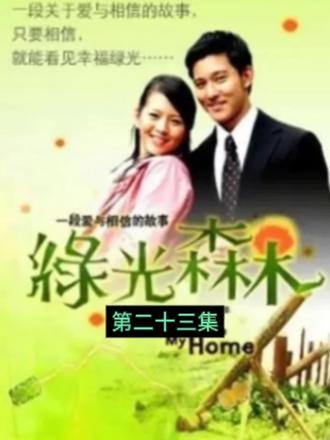 故事发生在如童话般美好的绿光森林里。美丽善良的女孩苏菲(刘品言饰)是音乐世家中的独生女,一直幸福快乐的生活。一次车祸中苏家司机不幸丧生,苏家夫妇收养了他的女儿罗珊(宋智爱饰),并为她改名为苏珊,视如己出。苏姗自卑又好强,不仅一直妒忌着苏菲生来所拥有的一切,更是对与苏菲两小无猜的靳欧文(阮经天饰)也萌生爱恋。在史宾赛皇家音乐学院,苏菲遇见了王子威廉史宾赛(立威廉饰)。 长大后,苏菲成为绿光小学的老师,苏珊成为史宾赛音乐学院的艺术总监,威廉回国继承父亲的音乐学院史宾赛,欧文学成归来成为名满世界的小提琴家。然而史宾赛学院要关掉绿光小学,对绿光小学有深厚感情的苏菲,为了守护绿光而奋斗…… …