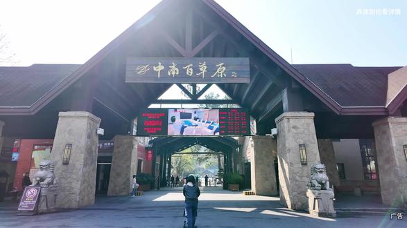 别再单独买门票了,住宿更划算#安吉中南百草原 #安吉中南度假酒店 #安吉中南度假老虎酒店 #安吉百草园一日游 #安吉游玩攻略
