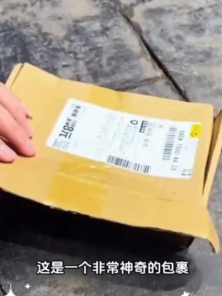 宝子们,听我一句劝!鱼缸造景没灵感?直接冲一叶莲就对了! 这玩意儿简直是植物界的“懒人天花板”——不用泥不用土,一片叶子丢水里,自己就能扎根、开花、繁殖,完全不用你费心。那雪白的花苞浮在水面,像藏了片小云朵,绽开时嫩黄的花心露出来,清新又灵动,美到让人挪不开眼~ 关键是实用到爆!既能当鱼缸“净化器”,悄悄吸附水里的杂七杂八,让水质清透到底;又能当造景“神来之笔”,叶片漂在水面,鱼儿在叶底钻来钻去,瞬间把鱼缸变成会动的“水下小森林”。 不管是养鱼新手还是糙汉,都能轻松拿捏。摆家里既养眼又省心,这“男士神仙单品”必须给家里安排上! #一叶莲 #水培植物 #鱼缸里的大自然 #水草造景 #男士神仙单品