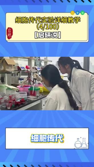 细胞传代保姆级教程|从准备到培养全流程 ✅ 准备
37℃预热培养基,生物安全柜紫外消毒30min,75%乙醇消毒双手。
✅ 传代操作
细胞密度80-90%时弃旧培养基,PBS洗2次 → 加胰酶37℃孵育2min,见细胞变圆即终止 → 加培养基吹打悬浮,1000rpm离心5min → 重悬后分皿摇匀,标记信息后入培养箱。
⚠️ 标准操作是实验数据可靠的关键,建议收藏备用!
💡如果你的传代实验总是遇到细胞成团、贴壁不均等问题,关于pick你的实验搭子,我们一起拆解问题、找到最优解~
#实验室 #科研 #科研狗的日常 #实验 #生物实验