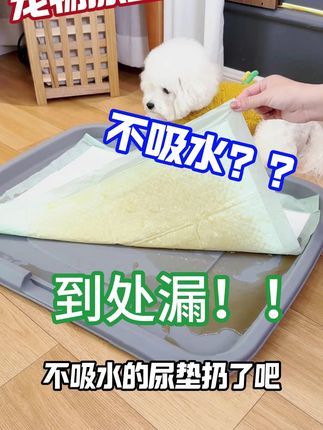 质量差的尿垫千万不要给毛孩子用了,用了还不如不用 #萌主请就位 #抖in萌宠计划 #萌宠好物