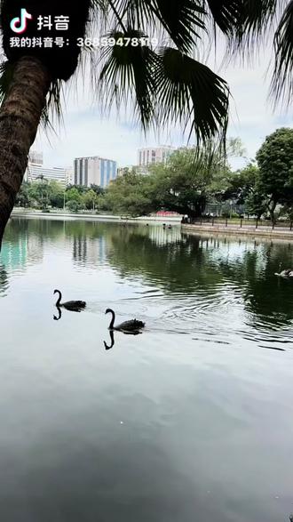 #五一假期 流花湖公园顺拍