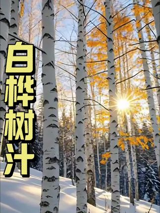 你们赶紧去抢这个白桦树汁的大羊毛!真的巨合适!#白桦树汁 #超便宜超划算 #好喝不贵#瓶装水