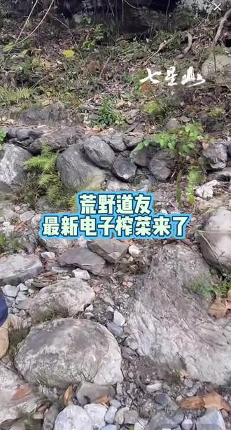 #荒野求生#荒野道友#热门话题 #荒野 荒野道友最新电子榨菜来了……荒野苗王,荒野建哥