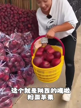 陕西嘎啦粉面苹果5-8斤新鲜苹果粉面沙甜脆粉两吃产地直发