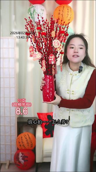 春节必备!带瓶银柳真花鲜枝,红焰装点客厅福桶超耐寒 春节必备!带瓶银柳真花鲜枝,红焰装点客厅福桶超耐寒