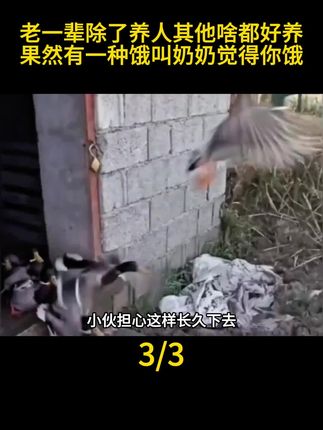 老一辈除了养人其他养什么都很听话#善待动物 #养动物 #万物皆有灵性 #咸鸭蛋 #离谱