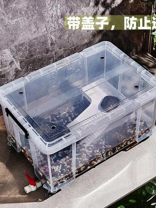 乌龟缸透明带盖鳄龟饲养箱草龟专用缸收纳箱可造景带排水生态鱼缸 #宠物饲养 #乌龟缸 #生态造景 #水族箱推荐 #好物推荐