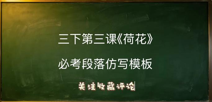 每天几分钟 语文很轻松
三下语文第三课《荷花》重点段落仿写例子(建议读背)
#三年级下册语文 #小学语文 #三年级语文 #语文知识点 #语文考点