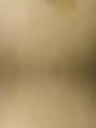 用40年创建品牌,用100年去还债! 从1886年到现在,奔驰这条路已经走了140年,一条动态让整个车圈炸了锅,其他友商纷纷贺来祝福,140岁正是,忘掉过去,开始闯荡的年记
#汽车 #奔驰140周年 #奔驰 #历史