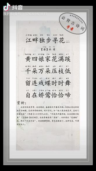 《江畔独步寻花》杜甫 #六年级下册语文