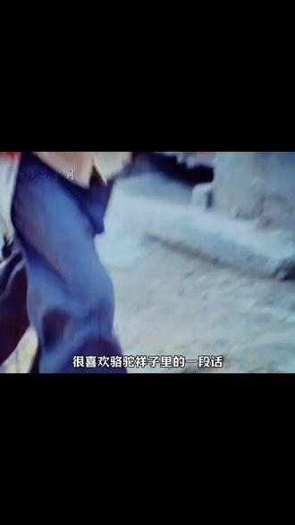 空有人间自由身,却非人间自由人;看似自由自在,实则身不由己#骆驼祥子#老舍#文学#影视#历史