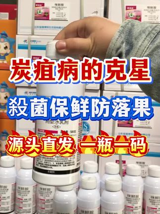 炭疽病的克星咪鲜胺#咪鲜胺 #病虫害防治 #炭疽病防治 #炭疽病 #杀菌剂