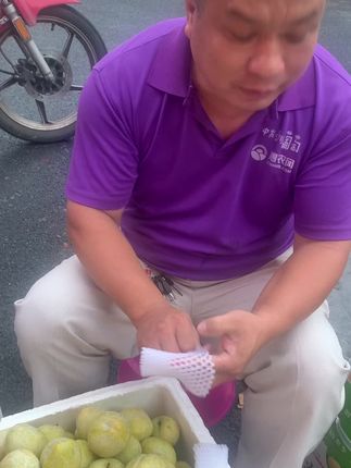 湖南炎陵黄金奈李越来越好每天都是现摘现发打包发货#优质农产品 #新鲜采摘 #黄金奈李