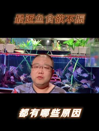 观赏鱼食欲不振甚至不吃食有好几种情况,今天先说两个 #观赏鱼 #养鱼日记 #教养鱼