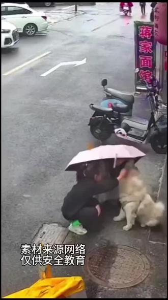 不要随意抓挠追逐猫狗,动物情绪不可预判,安静远离不触碰,保护自己不被抓伤咬伤。#安全教育 #抓猫逗狗 #动物情绪 #自我保护 #安全第一