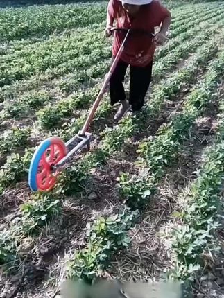 农用手推锄草开沟器,除草开沟一体小耘锄,轻便实用#高性能实用工具 #助力三农