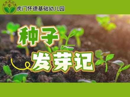 《种子发芽记🌱》
🌱一年之计在于春🌱