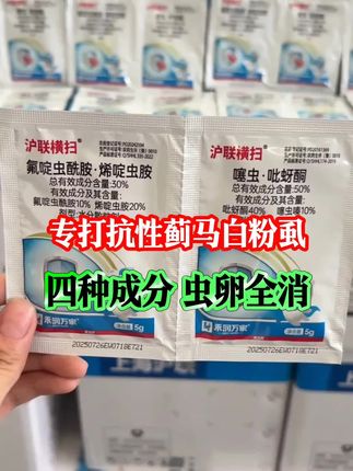 打蓟马白粉虱最快的配方就是它#横扫蓟马套装 见效快,边打边掉,虫卵全消#蓟马 #白粉虱 #蚜虫 #飞虱