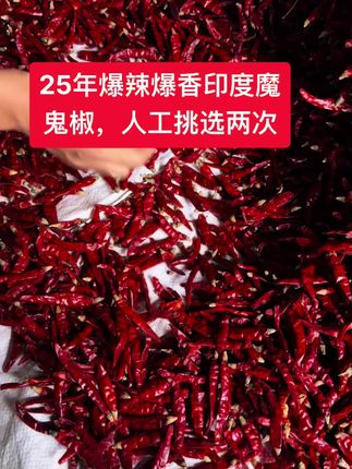 印度魔鬼椒#新农人计划 #抖音推广 #辣椒 #优质农产品 #抖音农产品