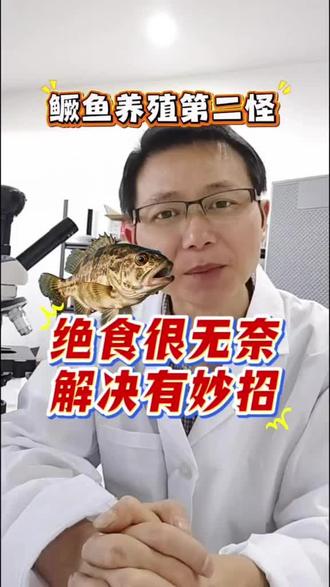 养鳜鱼最崩溃的事:它闭口绝食,你急到发疯 #真实生活分享计划 #鳜鱼#水产养殖#鱼苗#渔业
