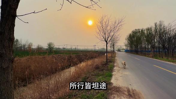 清明寄愿,诚心破谶。往日所有不吉之语、担忧烦念,今日全部清零,随风散尽,一概不算。从此刻起,我与家人平安健康、无灾无难万事顺遂,好运常伴岁岁安康。往后只说吉言,常存善念,所求皆所得,所行皆坦途。#乡村道路 #清明节 #破谶 #乡间田野风景