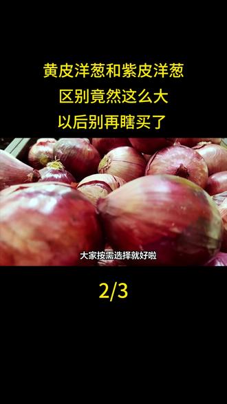 黄皮洋葱和紫皮洋葱,区别竟然这么大,以后别再瞎买了
