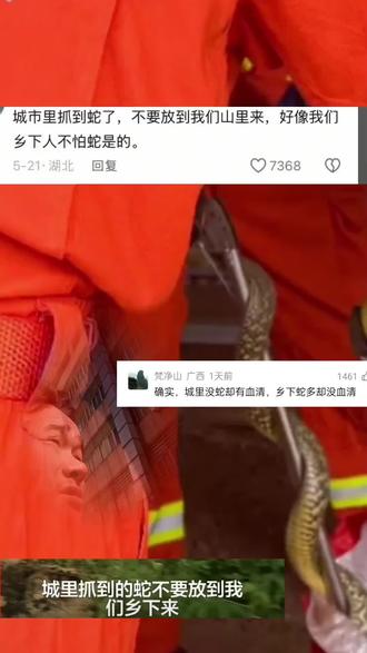 城市里抓到蛇了,不要放到我们山里来,好像我们乡下人不怕蛇是的。
