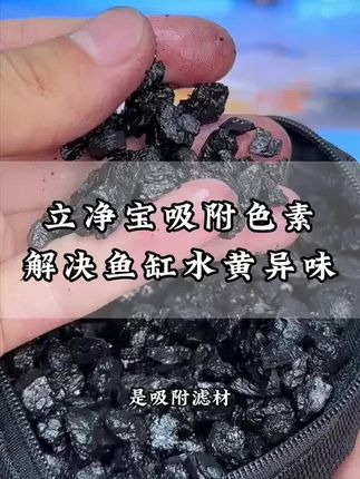 不跌酸,解决鱼缸水黄,亚甲基蓝染色很简单,可以一直放缸里不用单独拿出来省时省力,24小时就能看见明显去黄水效果#养鱼日记 #无限回购的宝藏单品 #轻松养鱼 #水族