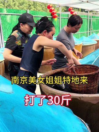 #我的乡村生活 #三农 #南京美女姐姐打酱油