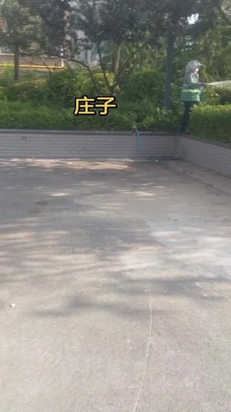庄子收徒只收1个人,育人方式碾压孔子##大奉神鸟 #庄子 #道家智慧 #国学故事 #反内卷