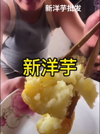 贵州农家老品种黄皮黄心洋芋又粉又面又香#老品种洋芋#黄皮黄心土豆 #新洋芋