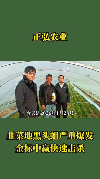 消灭黑头蛆,就用金标中赢
#黑头蛆 #农资零售商 #农资肥料 #农资人