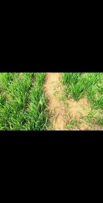 #祭祖#立碑 #扫墓 #清明节 #清明节思念亲人 土里有亲人,路上有童年。奶奶,您在那边儿还好吗?三年了,您一直不来我的梦里!我只能把这隔世的思念,藏在了最深处的心间。