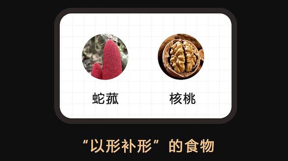 “以形补形”的食物 1.蛇菰
2.核桃
#冷知识 #有趣的知识又增长了 #知识分享 #科普 #知识