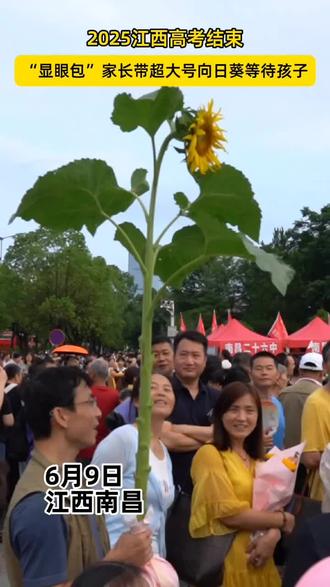 2025江西高考结束,“显眼包”家长手持超大向日葵等待孩子#高考
