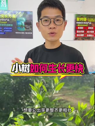 小树如何生长更快。