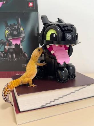 乐高拼搭|如何驯养一只小龙? 小小无牙仔 轻松拿下,可爱可爱🥰
#乐高 #无牙仔