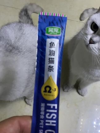 猫咪不掉毛而且还光亮#萌宠 #吃货猫 #银渐层 #猫零食