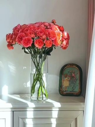 #居家插花 #花瓶#醒花桶