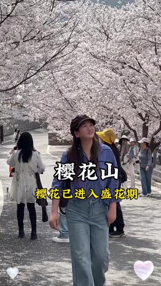 樱花现在进去了盛花期,真是遛娃,出游,赏花的好时机!#樱花 #樱花氛围打卡 #樱花季 #遛娃好去处 #周边游