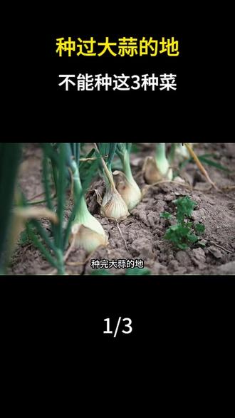 种过大蒜的地,不能种这3种菜? #科普 #大蒜 #植物 #涨知识 #抖音合集升级计划