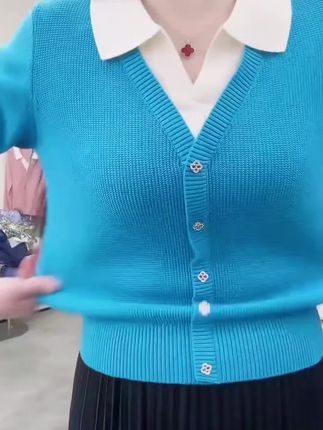 假两件POLO领针织衫毛衣女秋季新款拼色高档保暖韩版短款打底上衣 #针织衫 #面料舒适透气 #内搭外穿都好看 #谁穿谁好看 #品质女装