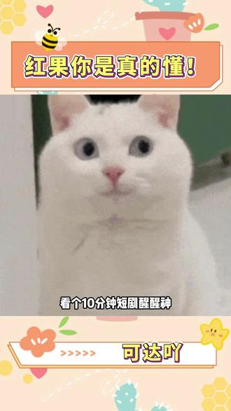 红果你是真的懂追剧人!#红果短剧 #短剧 #你的短剧搭子